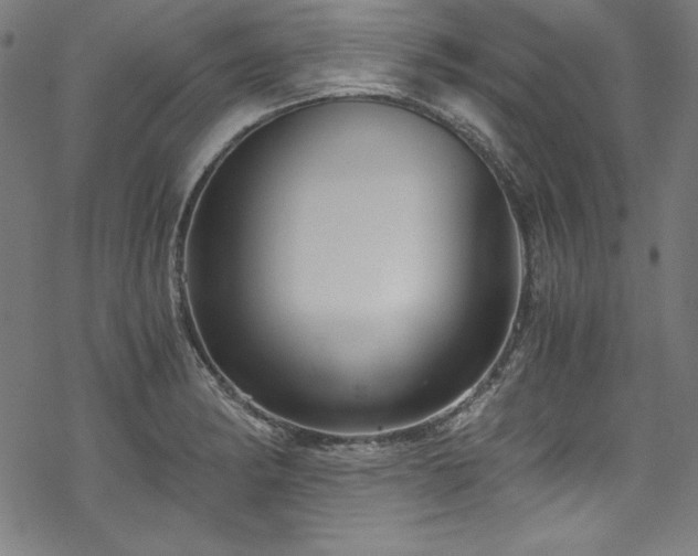 X0000068901182200605081338