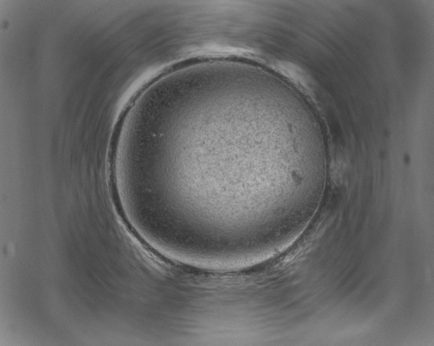 X0000068901183200605081338