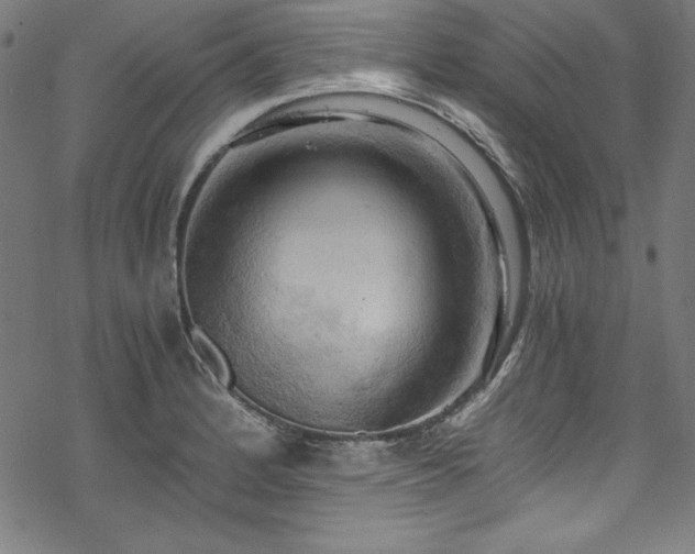 X0000068901184200605081338