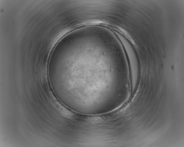 X0000068901186200605081338