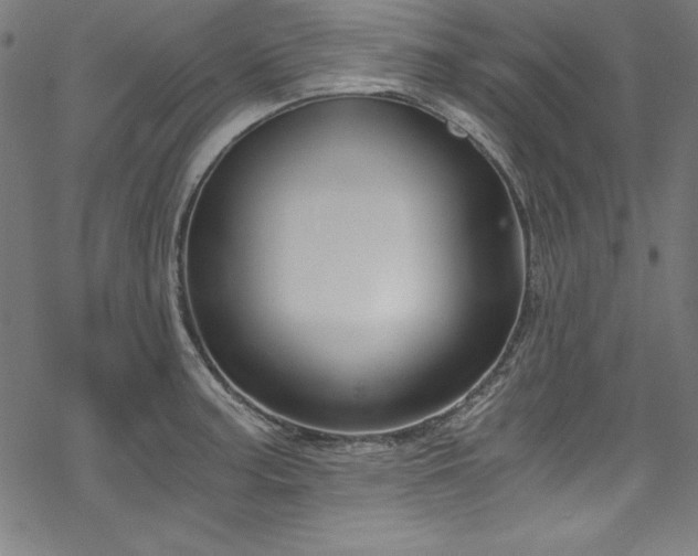 X0000068901187200605081337