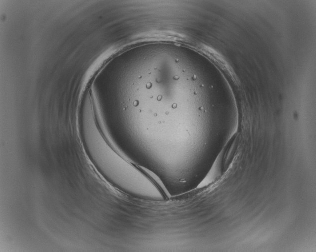 X0000068901188200605081337