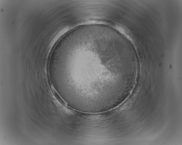 X0000068901189200605081337