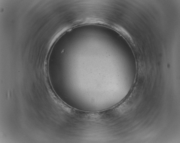 X0000068901190200605081337