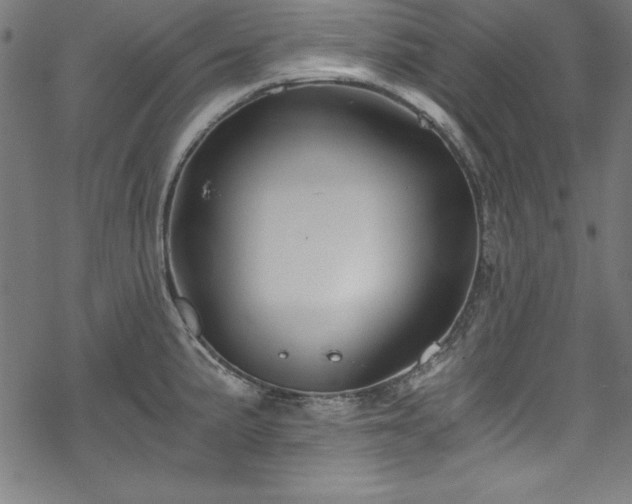 X0000068901191200605081337