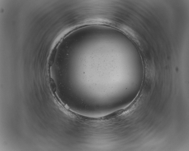 X0000068901192200605081337