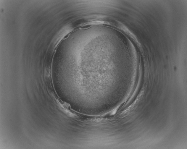 X0000068901193200605081337