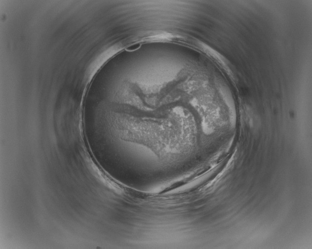 X0000068901194200605081337