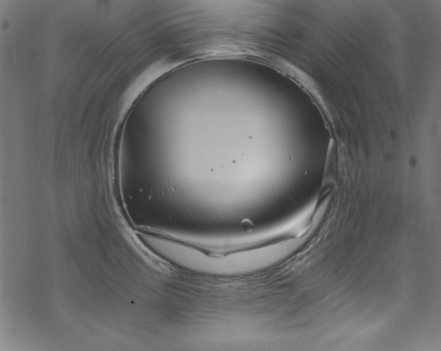 X0000068901195200605081337