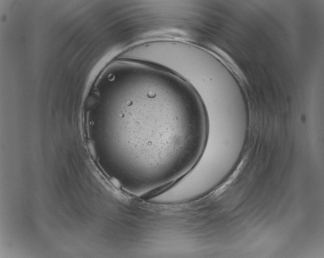 X0000068901196200605081337