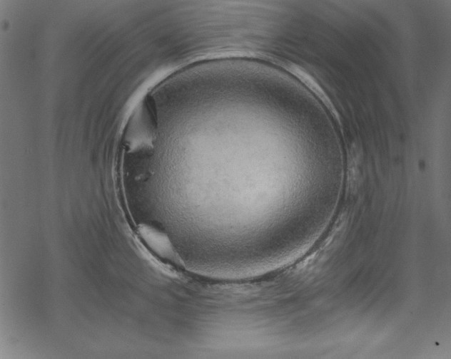 X0000068901197200605081337