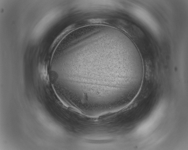 X0000068901198200605081337