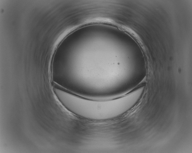 X0000068901199200605081337