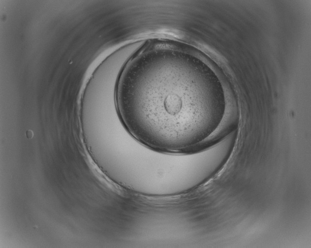 X0000068901200200605081337