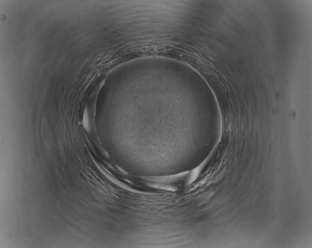 X0000068901202200605081337