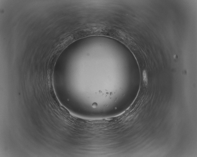 X0000068901203200605081337