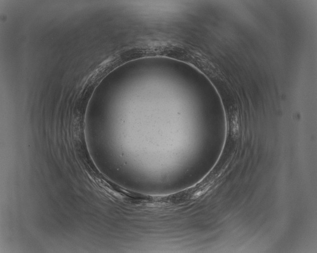 X0000068901204200605081337