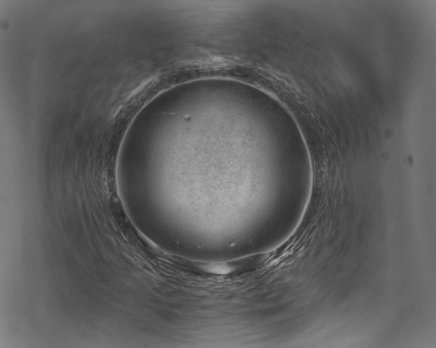 X0000068901205200605081337