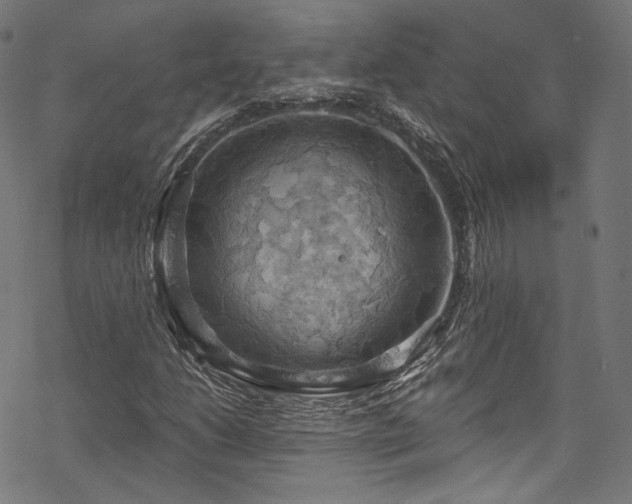 X0000068901206200605081337