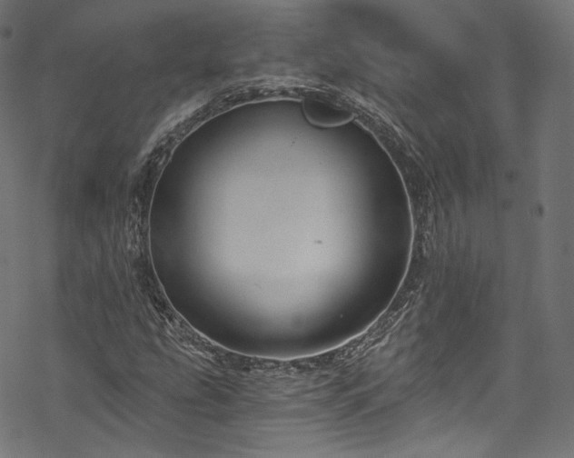 X0000068901207200605081337