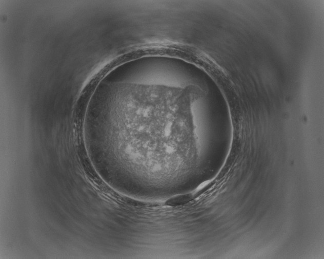 X0000068901208200605081337