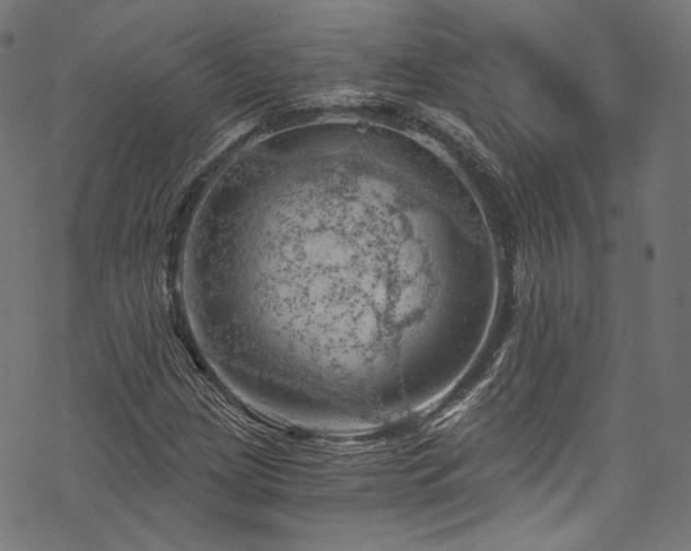 X0000068901209200605081337