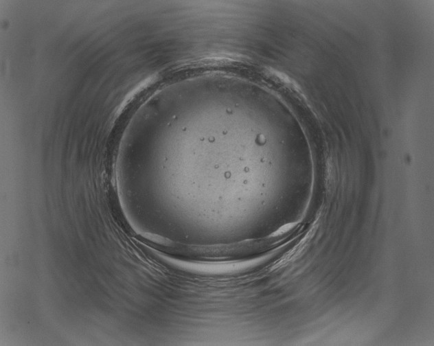 X0000068901210200605081337