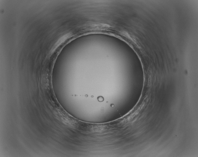 X0000068901211200605081337