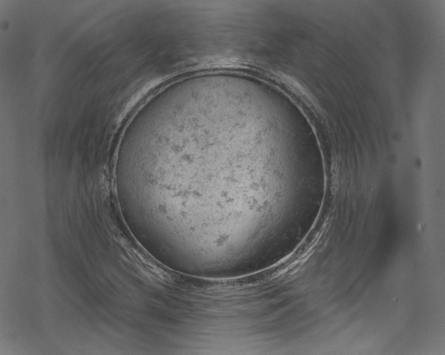 X0000068901212200605081337