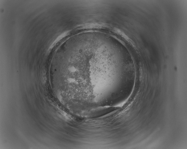 X0000068901213200605081337