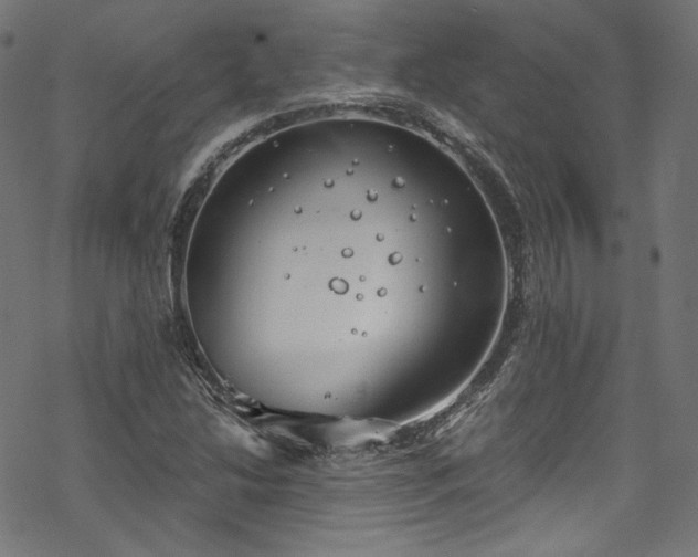 X0000068901214200605081337