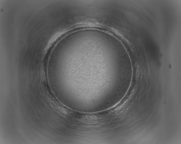 X0000068901215200605081337