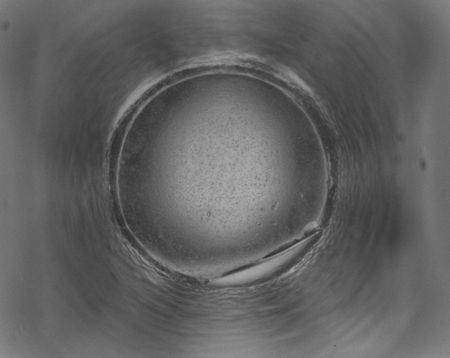 X0000068901216200605081337