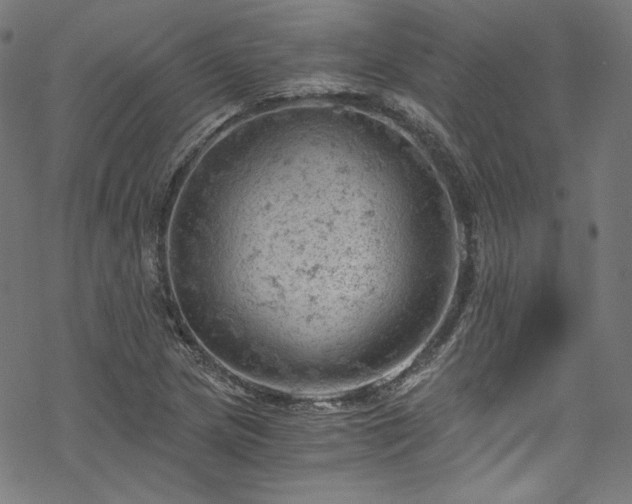 X0000068901217200605081337