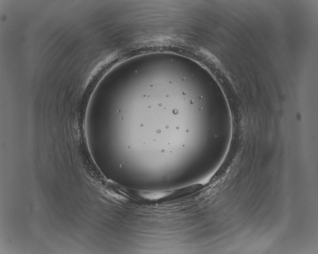 X0000068901218200605081337