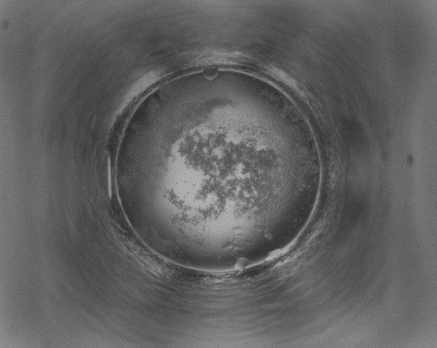 X0000068901219200605081337