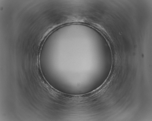 X0000068901220200605081337