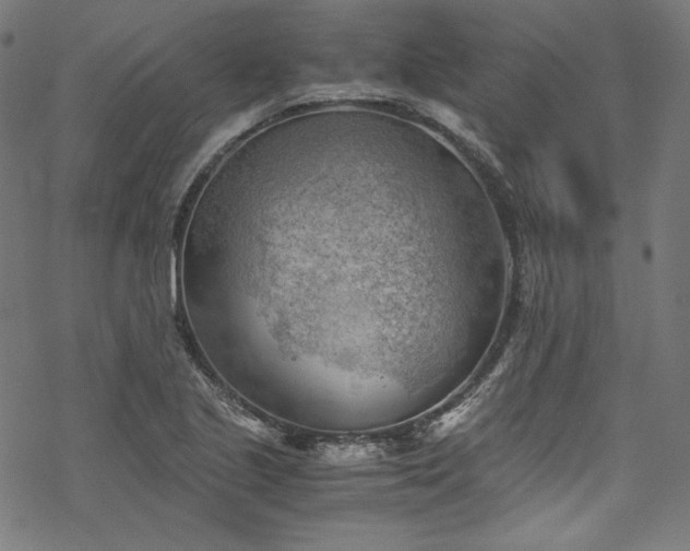 X0000068901221200605081337