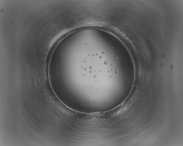 X0000068901222200605081337