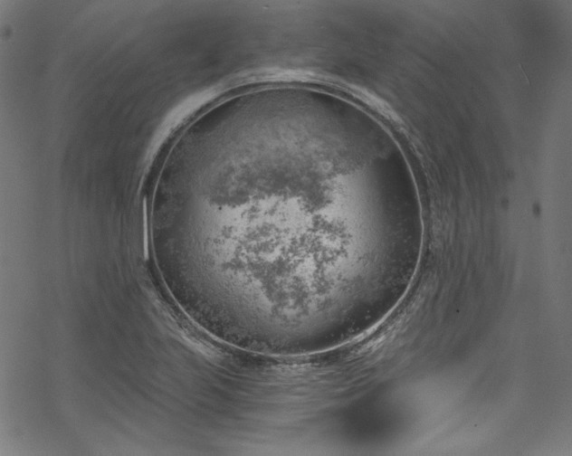 X0000068901223200605081337