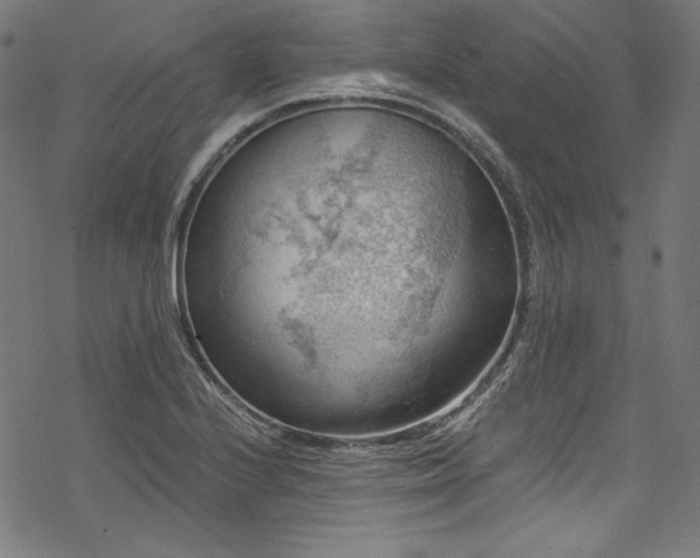 X0000068901224200605081337