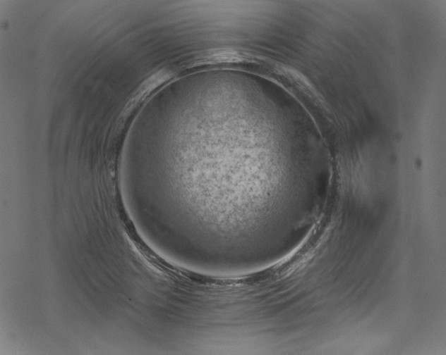 X0000068901225200605081337