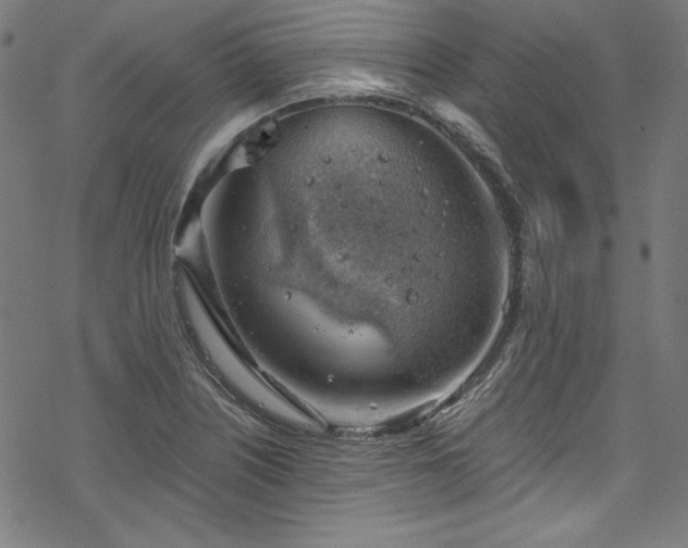 X0000068901226200605081337