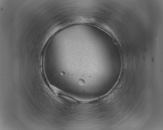 X0000068901227200605081337