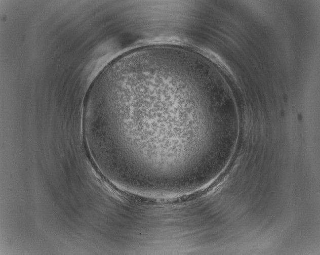 X0000068901228200605081337