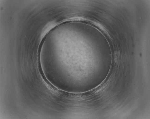 X0000068901229200605081337