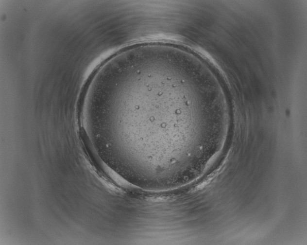 X0000068901230200605081337