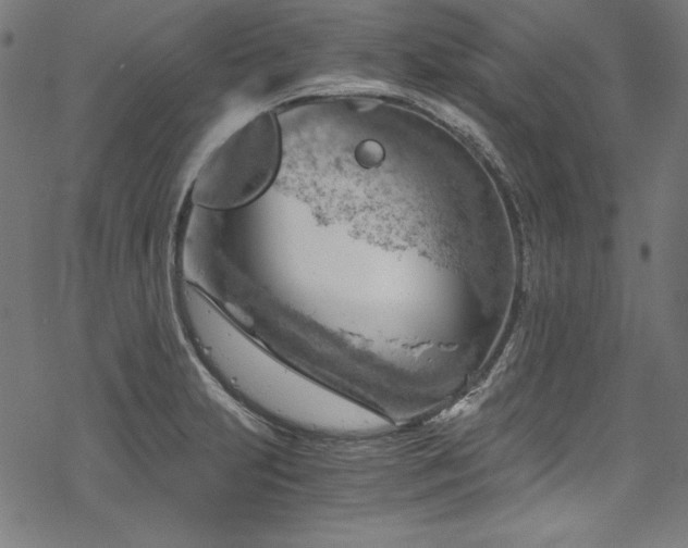 X0000068901231200605081337