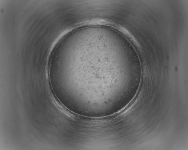 X0000068901232200605081337