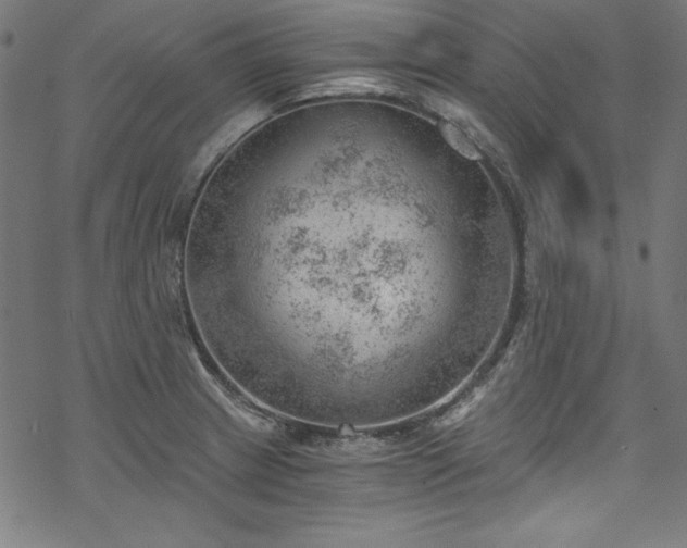 X0000068901233200605081337